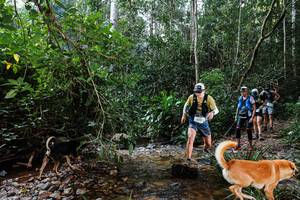 BIB: 9221
                            <button type="button" onclick="openModal(22345930)" class="btn btn-primary btn-sm float-right btn-popup" data-toggle="modal" data-target=".modal-high-quality">
                        <i class="fas fa-shopping-cart"></i> Add to Cart
                    </button>
                                            <button type="button" onclick="isThisMe(22345930, true)" class="btn btn-success btn-sm float-right btn-popup btn-isme hidden" data-toggle="tooltip" data-placement="bottom" title="นี่คือรูปของคุณใช่ไหม คลิกที่นี่เพื่อเอาเข้าอัลบั้ม">
                        <i class="fas fa-plus"></i> Add to album
                    </button>
                    <button type="button" onclick="isThisMe(22345930, false)" class="btn btn-warning btn-sm float-right btn-popup btn-isnotme hidden">
                        <i class="fas fa-ban"></i> Remove from album
                    </button>